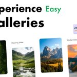 WP Media folder Gallery Addon v2.6.4